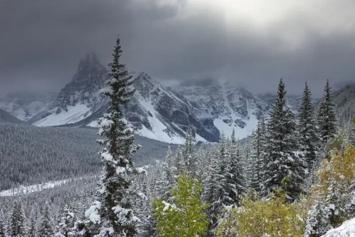 Framed Print : The Valley of the Ten Peaks, after recent snowfall, Banff National Park, Alberta, Canada Framed Print : The Valley of the Ten Peaks, after recent snowfall, Banff National Park, Alberta, Canada