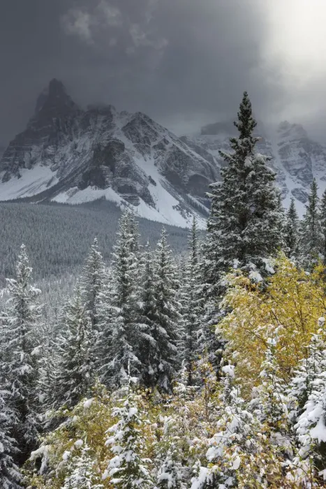 Framed Print : The Valley of the Ten Peaks, after recent snowfall, Banff National Park, Alberta, Canada