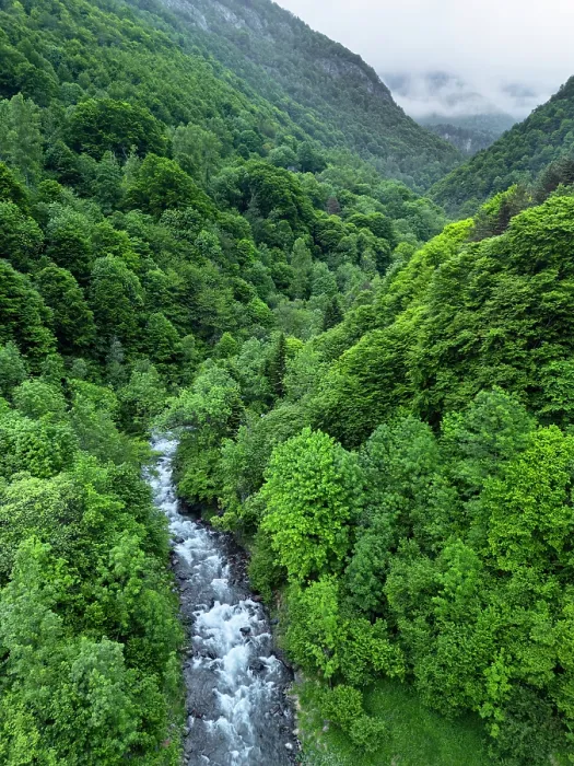 Framed Print : Varrados River flowing through through deciduous forests of Beech (Fagus sylvatica), European ash (Fraxinus excelsior) and Silver fir (Abies alba), Aran Valley, Pyrenees Framed Print : Varrados River flowing through through deciduous forests of Beech (Fagus sylvatica), European ash (Fraxinus excelsior) and Silver fir (Abies alba), Aran Valley, Pyrenees