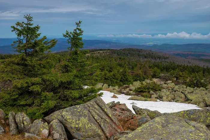 Framed Print : View from Brocken, the highest peak in the Harz mountain range, with Spruce trees (Picea abies) on rocks with remaining snow, Harz National Park, Saxony-Anhalt, Germany. May, 2021 Framed Print : View from Brocken, the highest peak in the Harz mountain range, with Spruce trees (Picea abies) on rocks with remaining snow, Harz National Park, Saxony-Anhalt, Germany. May, 2021