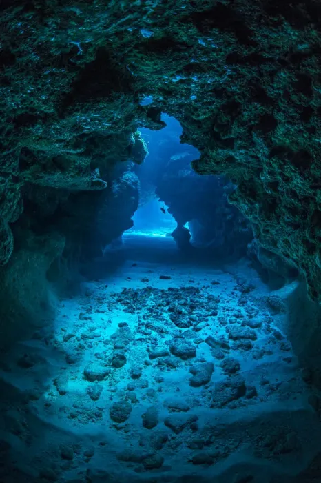 Framed Print : View through a cavern in a coral reef, with a Small grouper (Cephalopholis cruentata Framed Print : View through a cavern in a coral reef, with a Small grouper (Cephalopholis cruentata