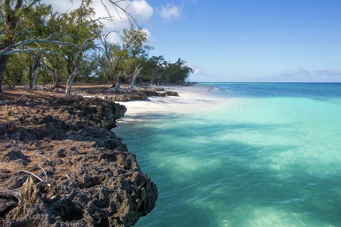 Framed Print : View along the coast and beach with casurina trees, Aldabra Atoll, Seychelles, Indian Ocean. November, 2017 Framed Print : View along the coast and beach with casurina trees, Aldabra Atoll, Seychelles, Indian Ocean. November, 2017