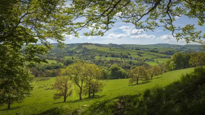 Framed Print : View from edge of woodlands near Pott Shrigley, Peak District National Park, Cheshire, UK Framed Print : View from edge of woodlands near Pott Shrigley, Peak District National Park, Cheshire, UK