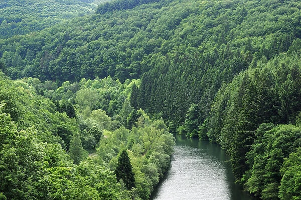 View from the Esch-Sur-Sre dam of the River Sauer flowing through a forest, Oesling