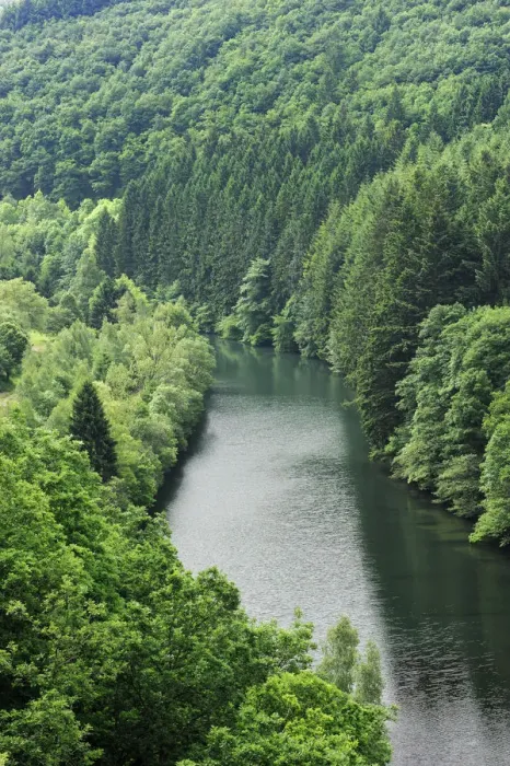 Framed Print : View from the Esch-Sur-Sre dam of the River Sauer flowing through a forest, Oesling Framed Print : View from the Esch-Sur-Sre dam of the River Sauer flowing through a forest, Oesling