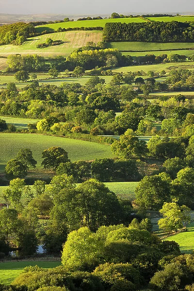 View across fields, farmland and hedgerows in the rolling countryside around Ansty, Dorset, England, UK. October, 2022
