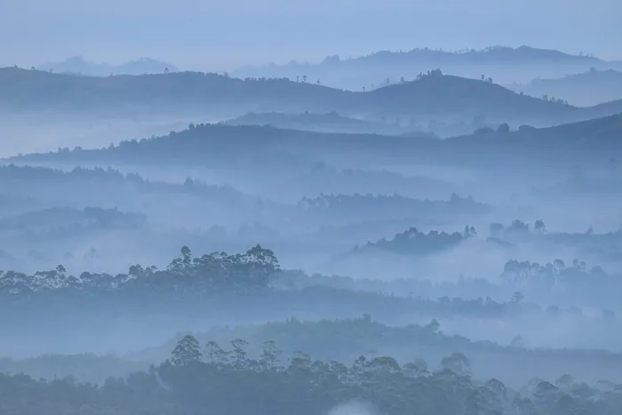 Framed Print : View over forest clearance  /  cultivated land and and introduced Eucalyptus plantations adjacent to mid-elevation rainforest on a misty morning, Maromizaha Forest