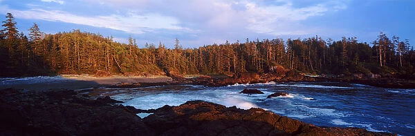 A view of a forested inlet lit by low sunlight. Aggro Beach, west coast of Vancouver Island