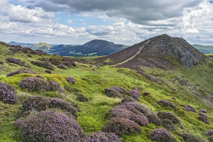 Framed Print : View from Long Mynd with Bodbury Hill in the foreground and Caer Caradoc Hill Framed Print : View from Long Mynd with Bodbury Hill in the foreground and Caer Caradoc Hill