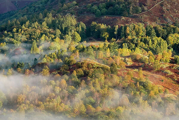 View from Loughrigg, with autumn colour and morning mist, near Grasmere, The Lake District, Cumbria, UK. October 2012