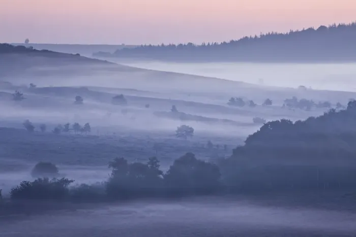 Framed Print : View over New Forest lowland heathland from Rockford Common at dawn Framed Print : View over New Forest lowland heathland from Rockford Common at dawn