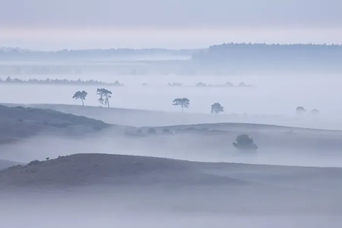 Framed Print : View over New Forest lowland in mist at dawn. Vereley Hill, Burley, New Forest National Park
