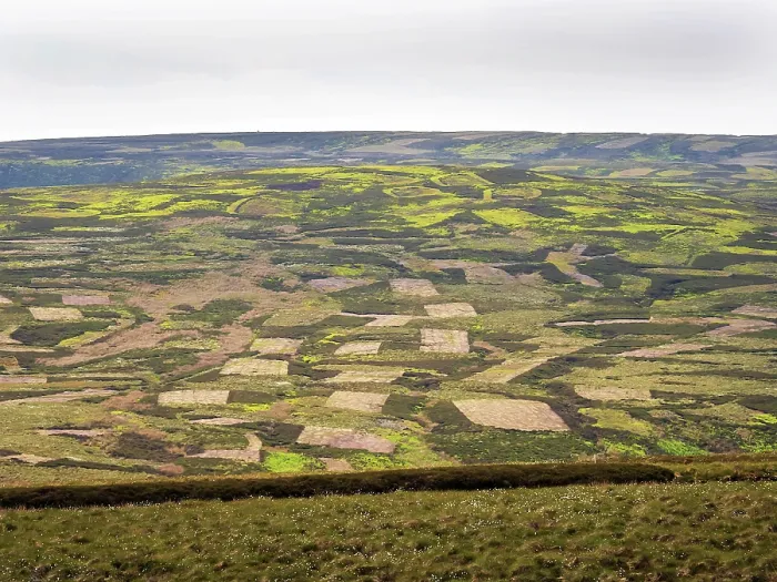 Framed Print : View of patchwork moorland landscape, a result of Heather (Calluna vulgaris) burning, Arkengarthdale, Yorkshire Dales, UK. June, 2023