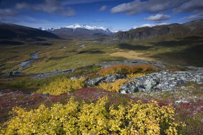 Framed Print : View along Rapadalen valley from Nammatj towards Lulep Spadnek, Sarek National Park Framed Print : View along Rapadalen valley from Nammatj towards Lulep Spadnek, Sarek National Park