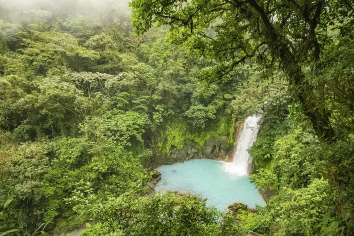 Framed Print : View of the Rio Celeste waterfall, tropical rainforest of Tenorio Volcano National Park Framed Print : View of the Rio Celeste waterfall, tropical rainforest of Tenorio Volcano National Park