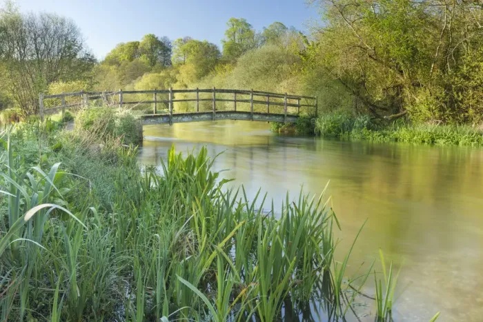 Framed Print : View of the River Itchen at Ovington, Hampshire, England, UK, May 2012 Framed Print : View of the River Itchen at Ovington, Hampshire, England, UK, May 2012