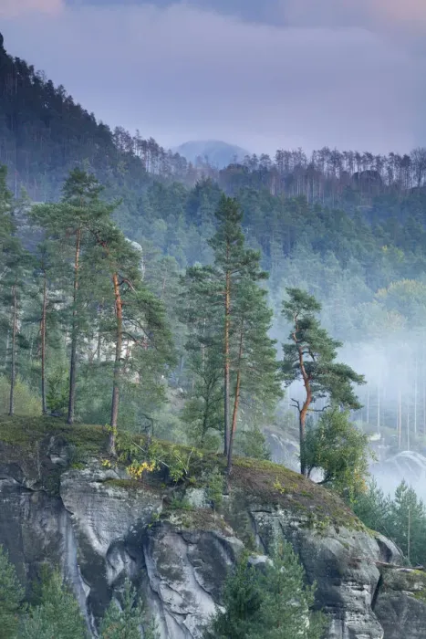 Framed Print : View from Rudolfuv Kamen hillside with light mist, Jetrichocive, Ceske Svycarsko Framed Print : View from Rudolfuv Kamen hillside with light mist, Jetrichocive, Ceske Svycarsko