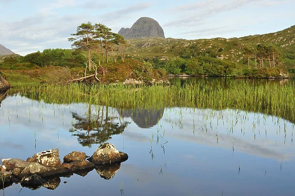 A view of Suilven over a highland loch with islands of scots pine and birch. Sutherland