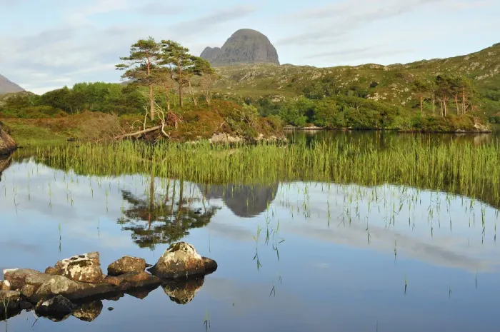 Framed Print : A view of Suilven over a highland loch with islands of scots pine and birch. Sutherland Framed Print : A view of Suilven over a highland loch with islands of scots pine and birch. Sutherland