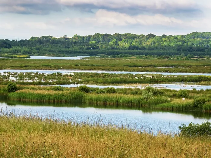 Framed Print : View across wetlands at St Aidens Nature Reserve near Swillington. This area used to be an old open cast coal mine. Yorkshire, UK. June, 2023 Framed Print : View across wetlands at St Aidens Nature Reserve near Swillington. This area used to be an old open cast coal mine. Yorkshire, UK. June, 2023
