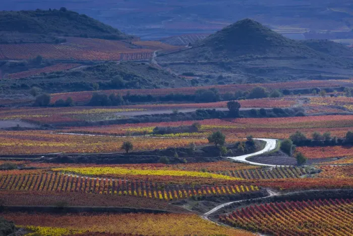 Framed Print : Vineyards in autumn, La Rioja, Sierra De Cantabria, Alava, Basque Country, Spain