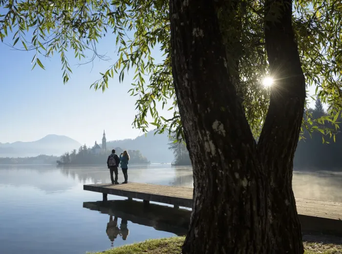 Framed Print : Visitors to Lake Bled, Slovenia, October 2017 Framed Print : Visitors to Lake Bled, Slovenia, October 2017