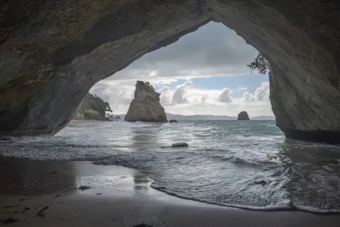 Framed Print : Waikato, North Island, New Zealand, July 2019 Framed Print : Waikato, North Island, New Zealand, July 2019