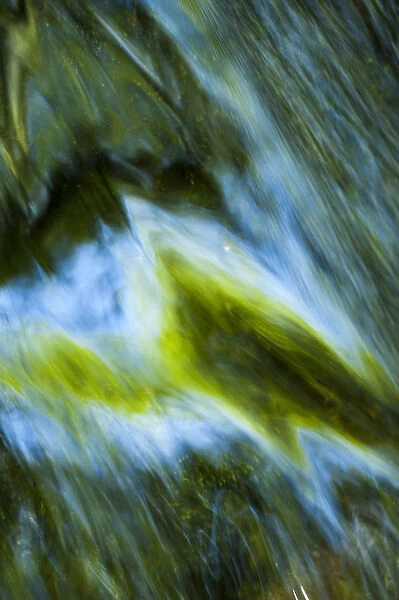 Water detail abstract. Craigengillan Estate, Ayrshire, Scotland