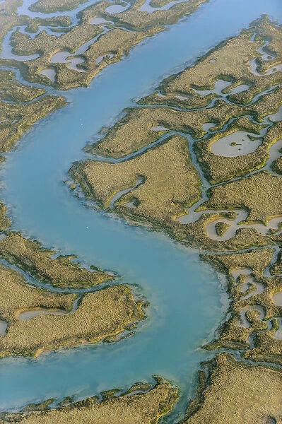 Water channels making patterns in saltmarsh, seen from the air. Abbotts Hall Farm
