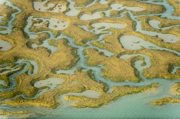 Framed Print : Water channels making patterns in saltmarsh, seen from the air. Abbotts Hall Farm