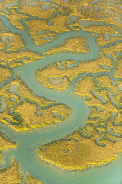 Framed Print : Water channels making patterns in saltmarsh, seen from the air. Abbotts Hall Farm Framed Print : Water channels making patterns in saltmarsh, seen from the air. Abbotts Hall Farm
