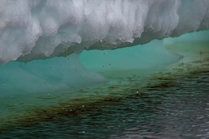 Framed Print : Water droplets dripping from melting sea ice, Hudson Bay near Churchill, Manitoba, Canada. June, 2024 Framed Print : Water droplets dripping from melting sea ice, Hudson Bay near Churchill, Manitoba, Canada. June, 2024