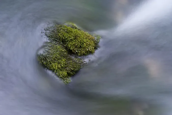 Framed Print : Water flowing round moss covered stones in the Crna Rijeka, Black river springs