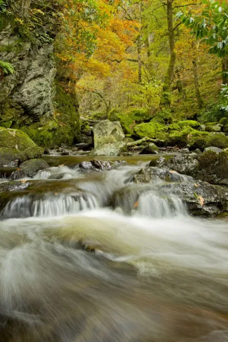 Framed Print : Water running over rocks, Lodore Falls, with autumnal trees in the background, Lake District Framed Print : Water running over rocks, Lodore Falls, with autumnal trees in the background, Lake District