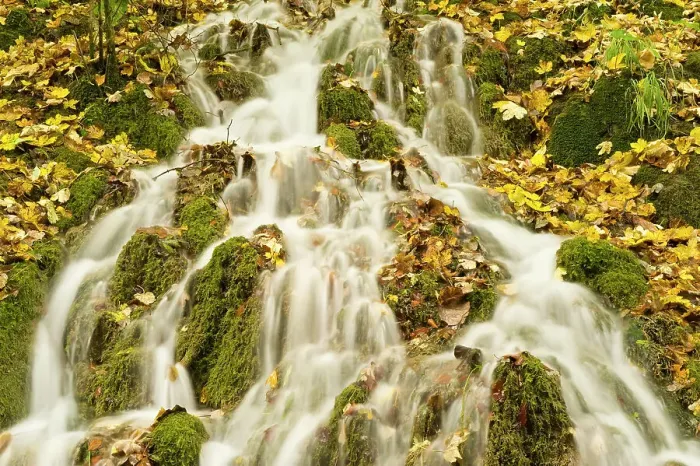 Framed Print : Water running through the woods around Gradinsko Lake, Upper Lakes, Plitvice Lakes National Park, Croatia, October 2008