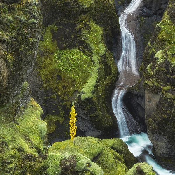 Waterfall in Fjaorargljufur canyon, Kirkjubaejarklaustur, Iceland, August 2017