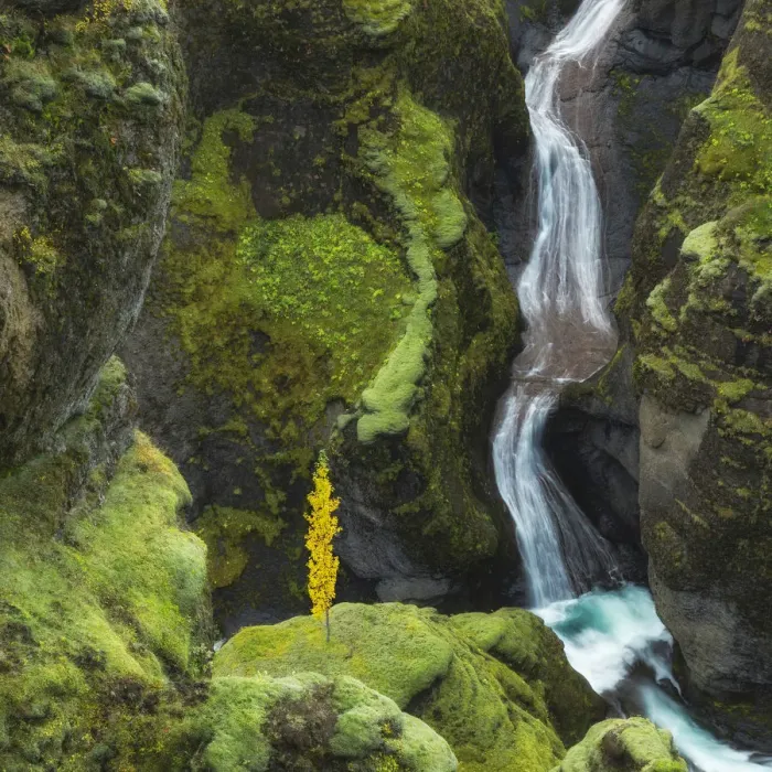 Framed Print : Waterfall in Fjaorargljufur canyon, Kirkjubaejarklaustur, Iceland, August 2017 Framed Print : Waterfall in Fjaorargljufur canyon, Kirkjubaejarklaustur, Iceland, August 2017