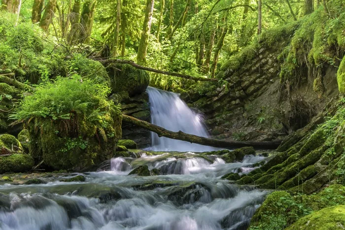 Framed Print : Waterfall on Guiers vif river, Hauts de Chartreuse National Nature Reserve, Alps, Isere, France. July, 2024 Framed Print : Waterfall on Guiers vif river, Hauts de Chartreuse National Nature Reserve, Alps, Isere, France. July, 2024