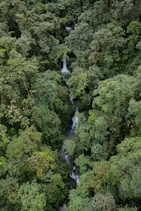 Framed Print : Waterfall inside a rainforest located in a transition between Choco and cloud forest