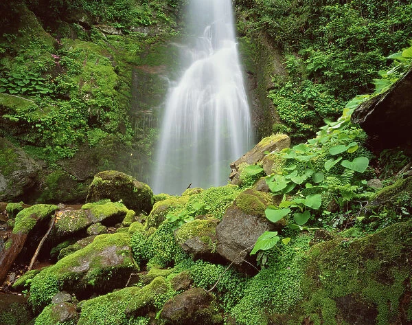 Waterfall, Mtirala National Park, Georgia, May 2008