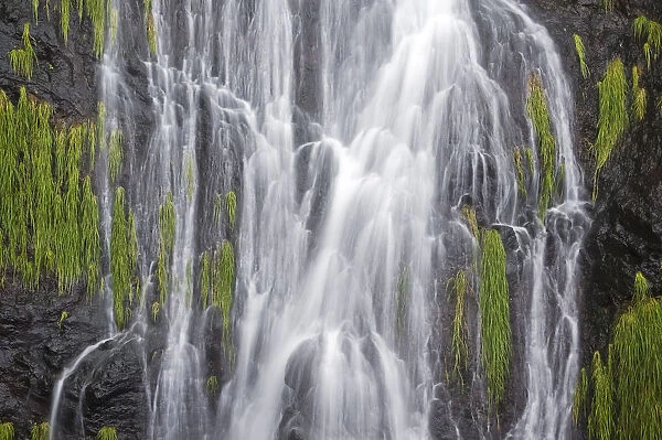 Waterfall near Sao Vicente, Madeira, March 2009