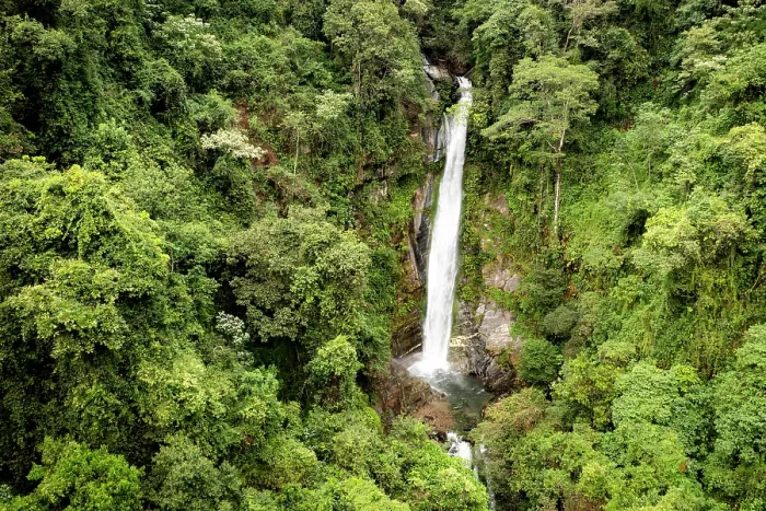 Framed Print : Waterfall in rainforest on the way from Minca to Bajo agua linda, Sierra Nevada de Santa Marta, Colombia. December, 2021