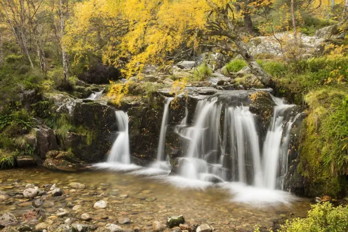 Framed Print : Waterfall on wooded hillside in autumn, Glenfeshie, Cairngorms National Park, Scotland Framed Print : Waterfall on wooded hillside in autumn, Glenfeshie, Cairngorms National Park, Scotland