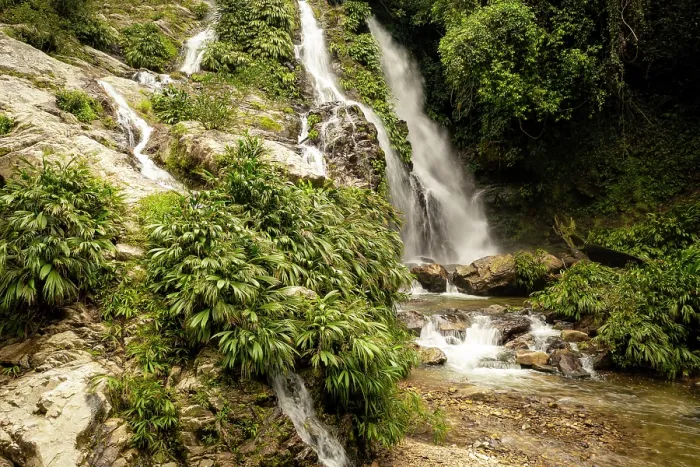 Framed Print : Waterfalls in a tributary of Buritaca river, Finca la Profunda, Sierra Nevada de Santa Marta, Colombia. December, 2021 Framed Print : Waterfalls in a tributary of Buritaca river, Finca la Profunda, Sierra Nevada de Santa Marta, Colombia. December, 2021