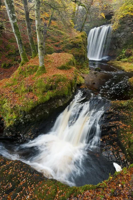 Framed Print : Waterfalls in woodland. Craigengillan Estate, Dalmellington, Ayrshire, October Framed Print : Waterfalls in woodland. Craigengillan Estate, Dalmellington, Ayrshire, October