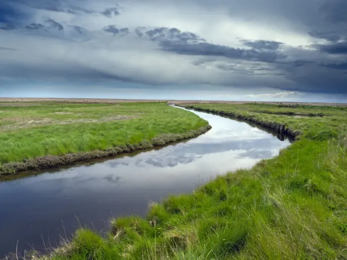 Framed Print : Waterway through marshland, Dingle Nature Reserve, Dunwich, Suffolk, UK. May, 2021 Framed Print : Waterway through marshland, Dingle Nature Reserve, Dunwich, Suffolk, UK. May, 2021