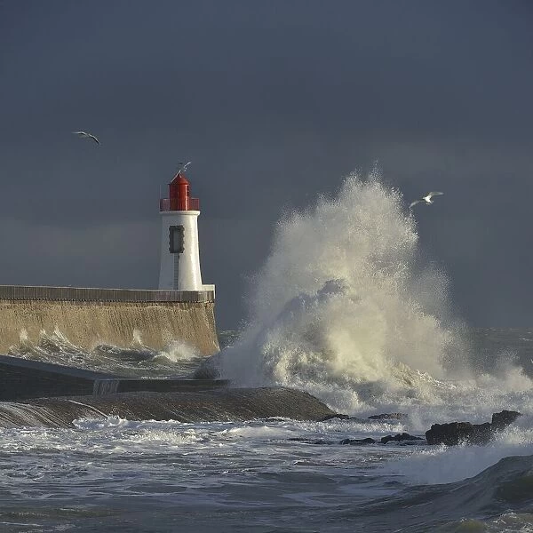 Waves breaking against port wall with lighthouse during storm, Vendee, France. December