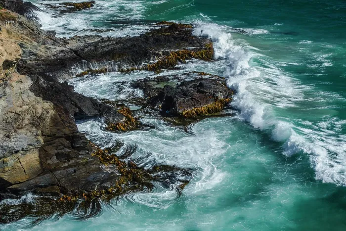 Framed Print : Waves crashing against a kelp covered rocky shoreline, Taiaroa Head, Otago Peninsula, South Island, New Zealand. January, 2023 Framed Print : Waves crashing against a kelp covered rocky shoreline, Taiaroa Head, Otago Peninsula, South Island, New Zealand. January, 2023