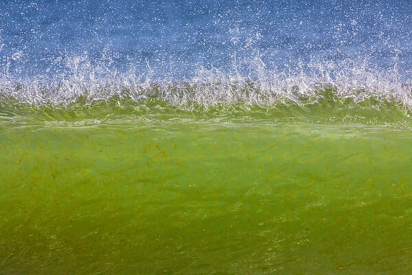 Waves off the Atlantic ocean, Cape Cod, Massachusetts, USA, September