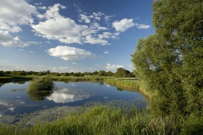 Framed Print : Wetland landscape, Woodwalton Fen National Nature Reserve, Cambridgeshire, England, UK Framed Print : Wetland landscape, Woodwalton Fen National Nature Reserve, Cambridgeshire, England, UK